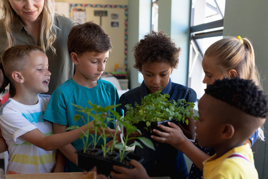 Students in a classroom holding plants